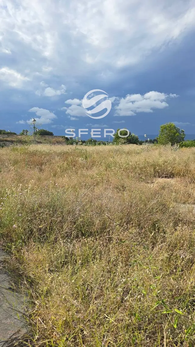 Land plots in a promising area for private development near El Más de Camarena
